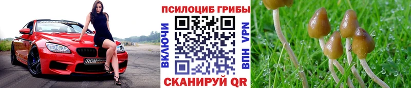 Псилоцибиновые грибы Magic Shrooms  Гатчина 
